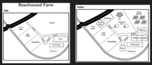 plans of beechwood farm ielts writing task 1