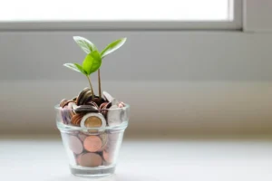 it is important to save money for everyone including young people for the future ielts essay