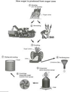 The diagram shows the manufacturing process of sugar from sugar cane ielts writing task 1 process diagram