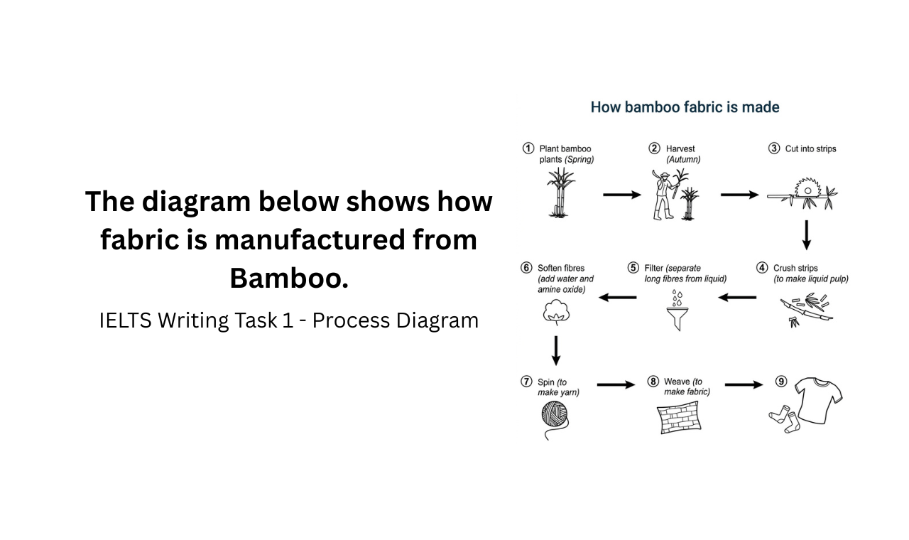 The diagram below shows how fabric is manufactured from Bamboo.